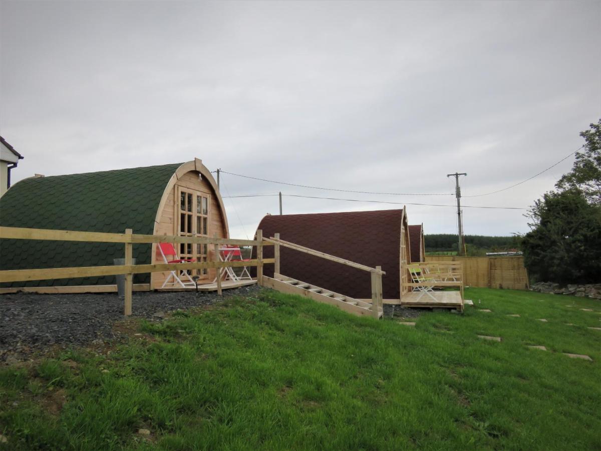 Shannon Estuary Glamping Effernan Екстериор снимка