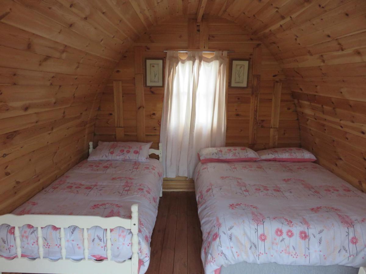 Shannon Estuary Glamping Effernan Екстериор снимка