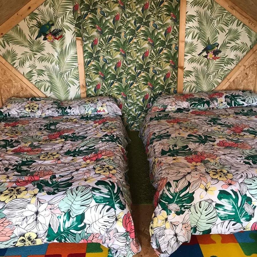 Shannon Estuary Glamping Effernan Екстериор снимка