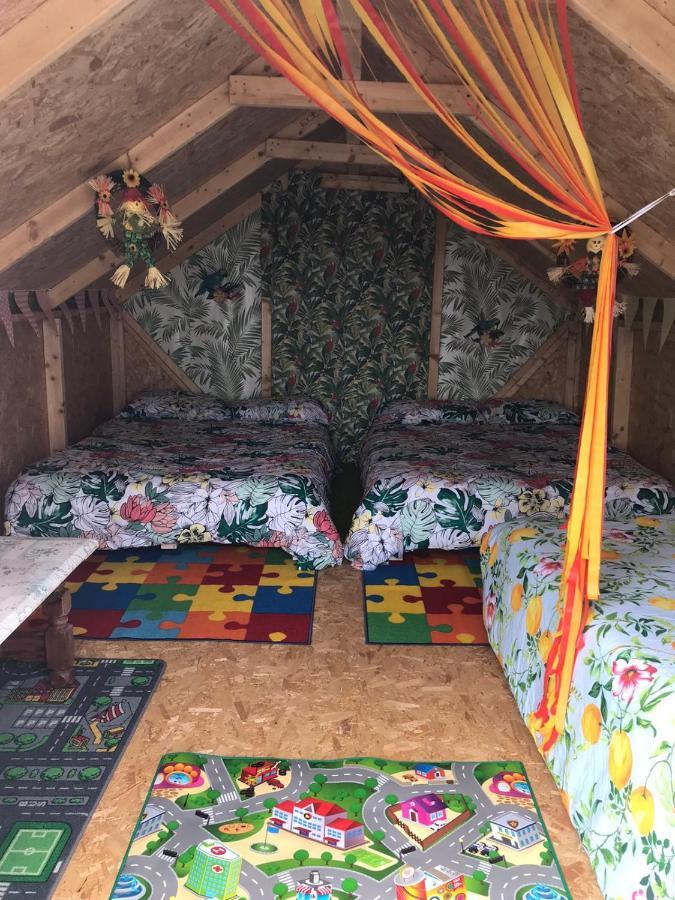 Shannon Estuary Glamping Effernan Екстериор снимка