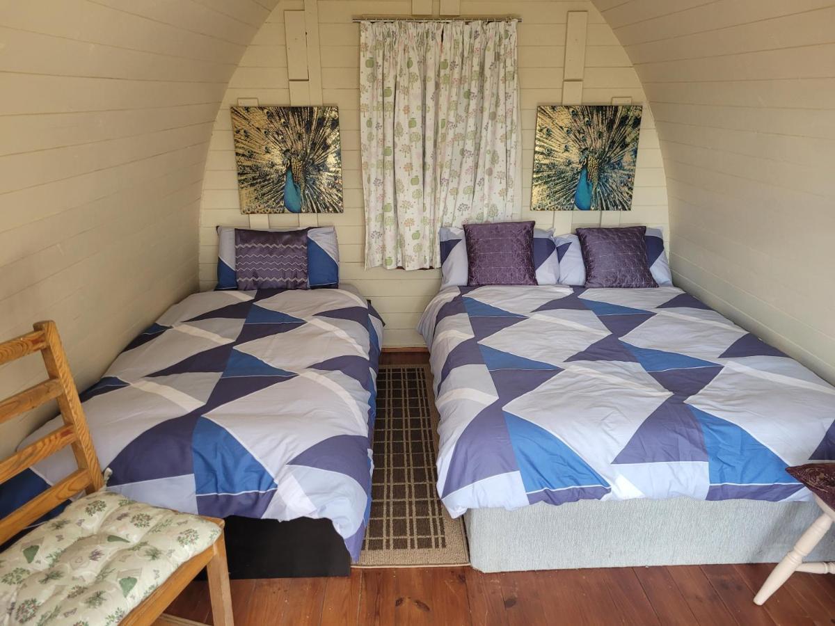 Shannon Estuary Glamping Effernan Екстериор снимка