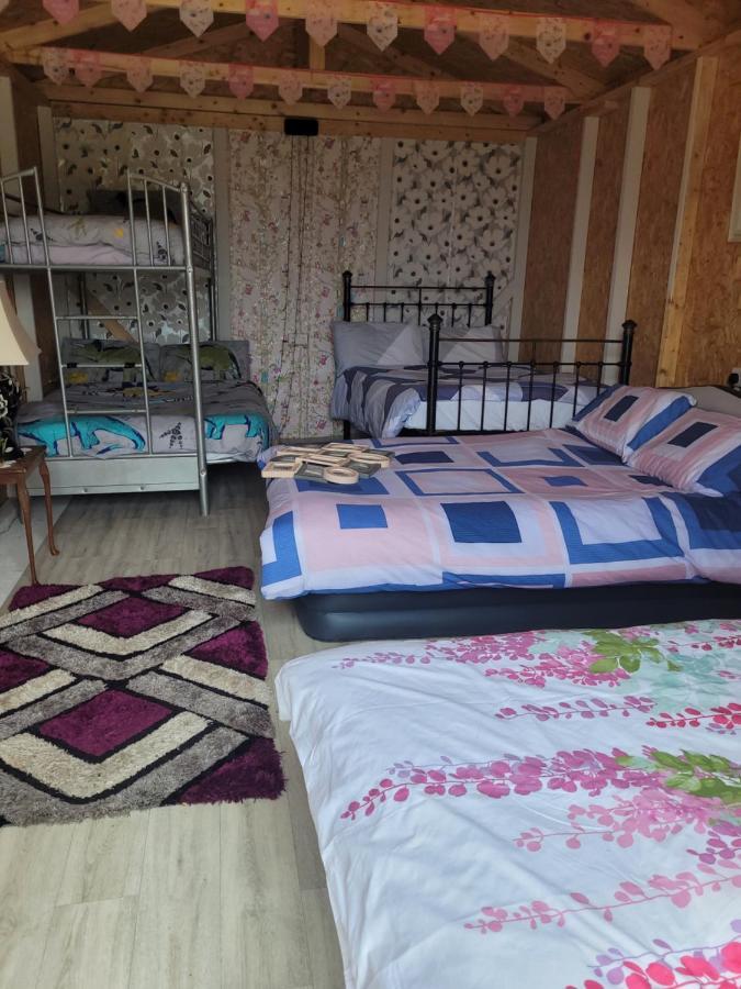 Shannon Estuary Glamping Effernan Екстериор снимка