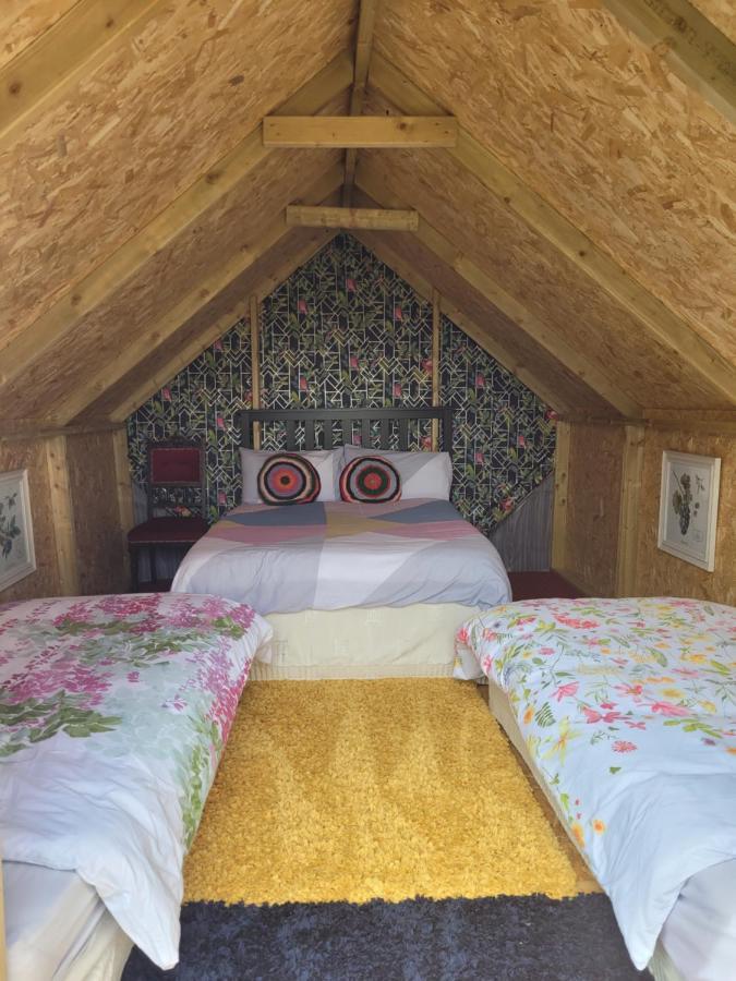 Shannon Estuary Glamping Effernan Екстериор снимка