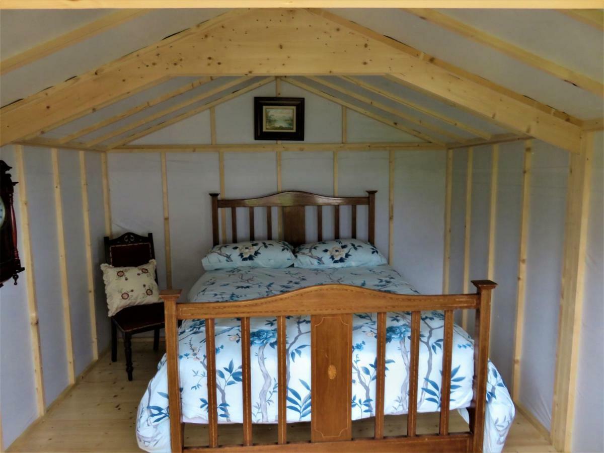 Shannon Estuary Glamping Effernan Екстериор снимка