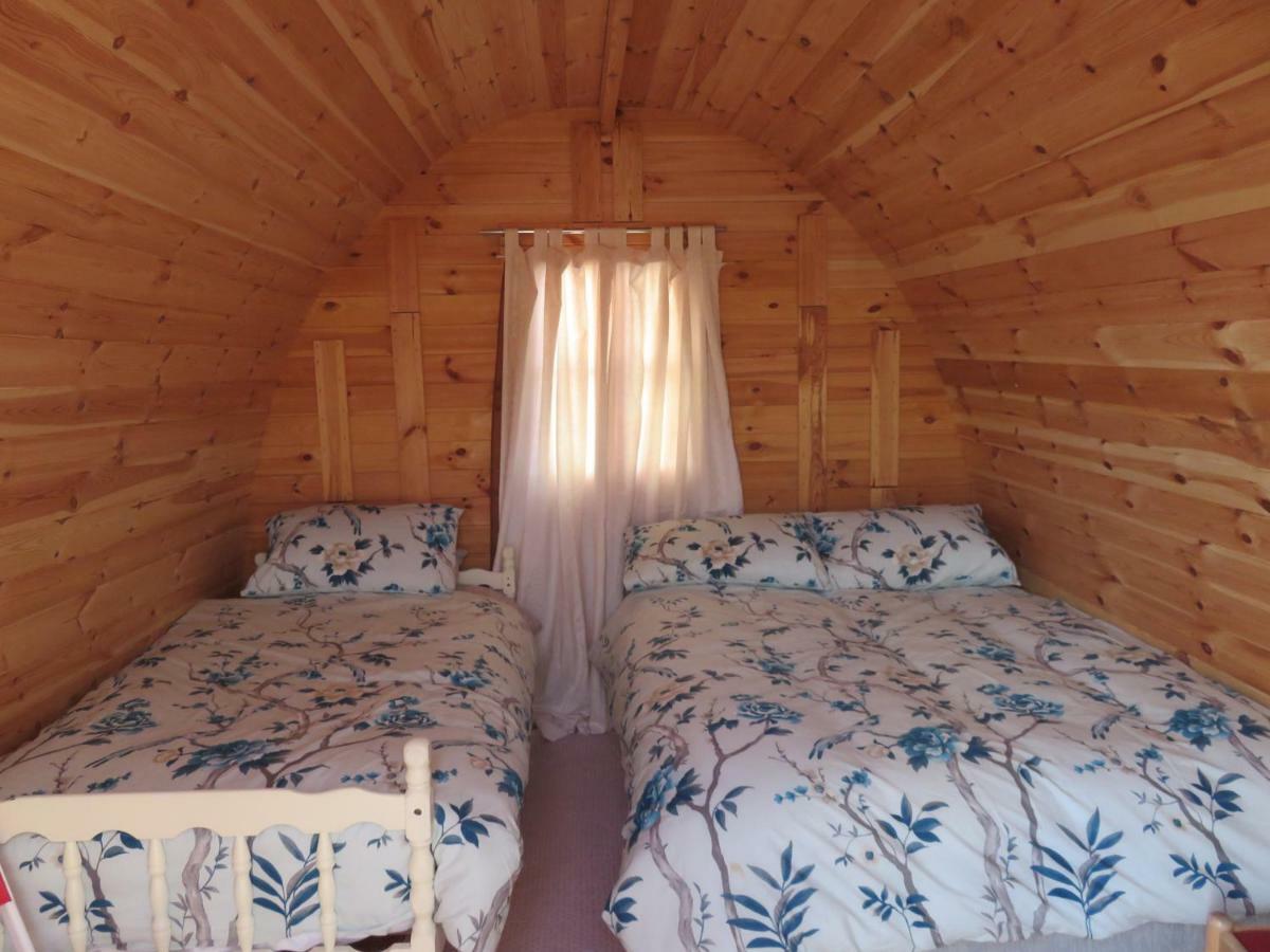 Shannon Estuary Glamping Effernan Екстериор снимка