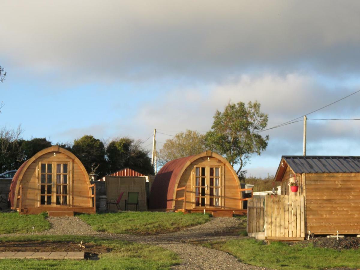Shannon Estuary Glamping Effernan Екстериор снимка