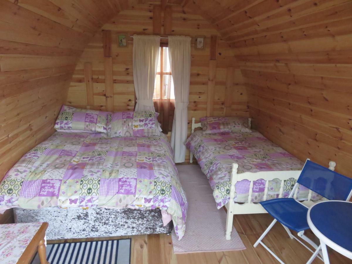 Shannon Estuary Glamping Effernan Екстериор снимка