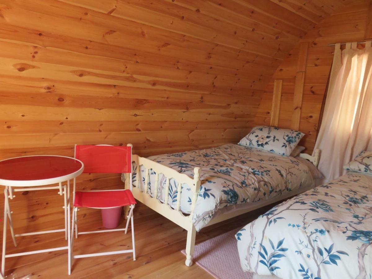 Shannon Estuary Glamping Effernan Екстериор снимка