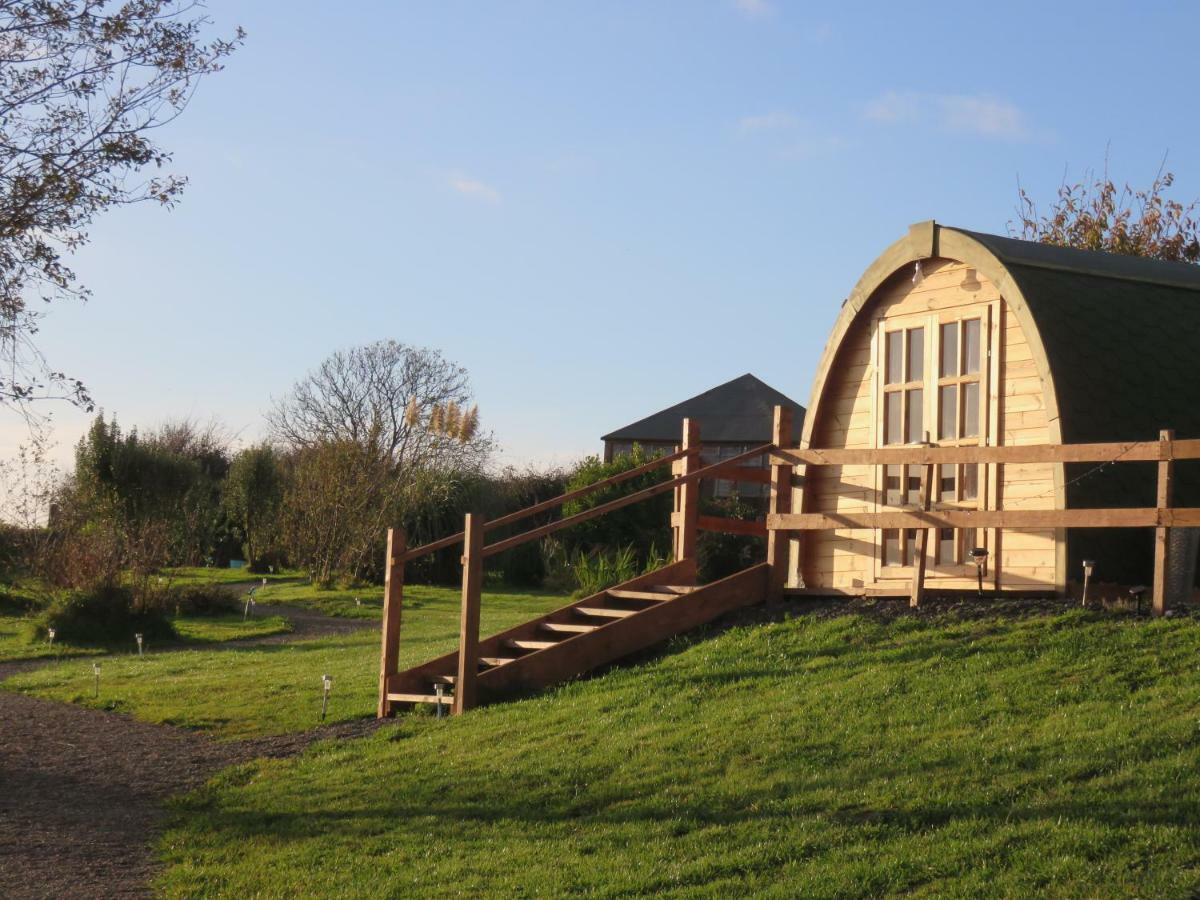 Shannon Estuary Glamping Effernan Екстериор снимка
